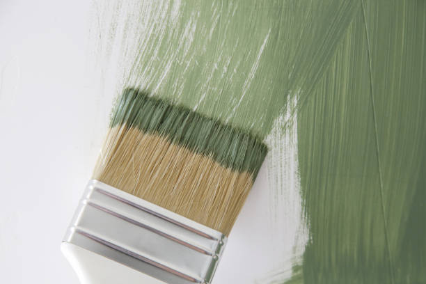 Mold Remediation for Vacation Homes in Lemon Grove, CA