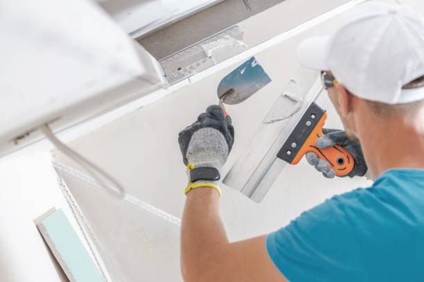 Best Mold Remediation for Vacation Homes  in Lemon Grove, CA